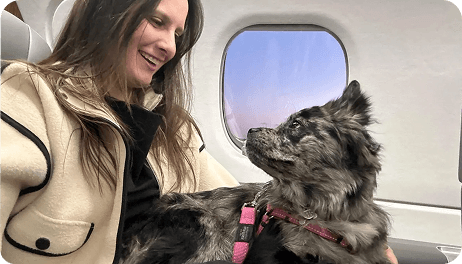 In-Cabin vs. Cargo: What's Really Different