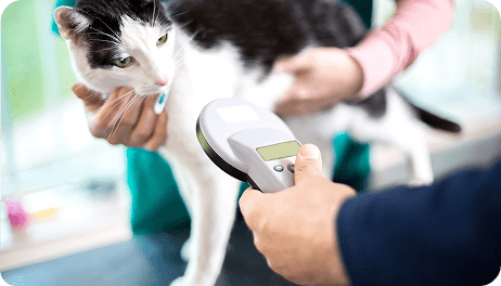 Microchips, Vaccines & Timings Explained