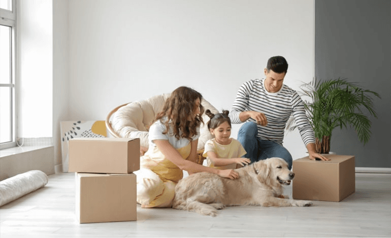 Pet Relocation