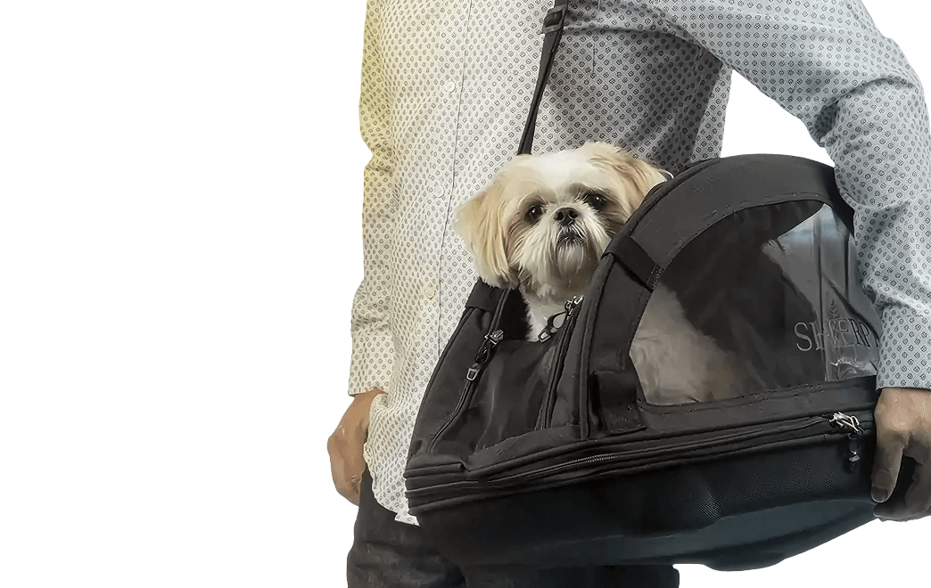 Person carrying dog in a travel bag